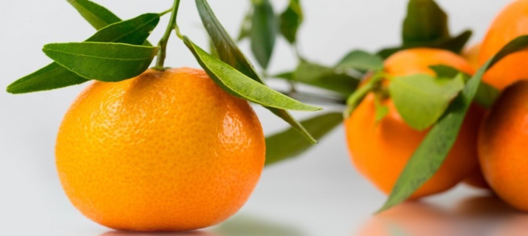 propiedades y beneficios de la naranja