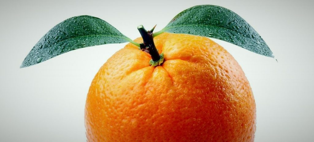 la naranja de valencia
